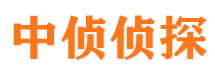 楚州寻人公司